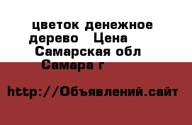 цветок денежное дерево › Цена ­ 9 - Самарская обл., Самара г.  »    